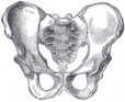 sacrum200