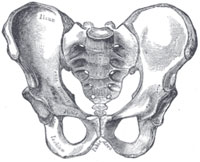 sacrum200